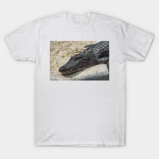 Relaxing Alligator T-Shirt